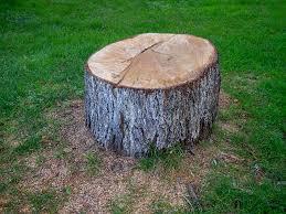 Best Lot and Land Clearing  in Keasbey, NJ