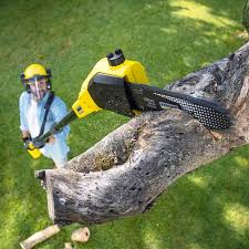 Best Stump Grinding and Removal  in Keasbey, NJ