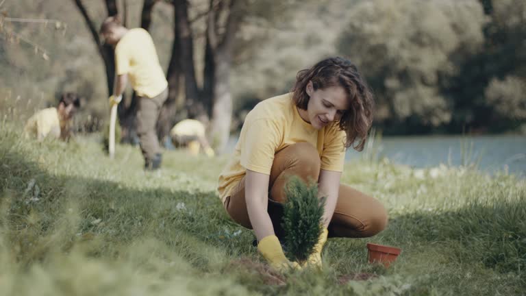 Tree and Shrub Care in Keasbey, NJ