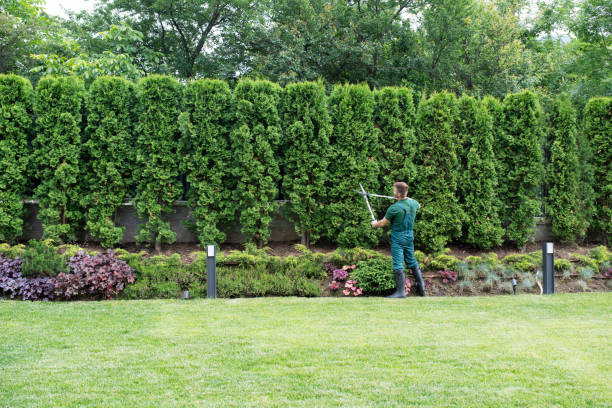 Best Lawn Maintenance Plans  in Keasbey, NJ
